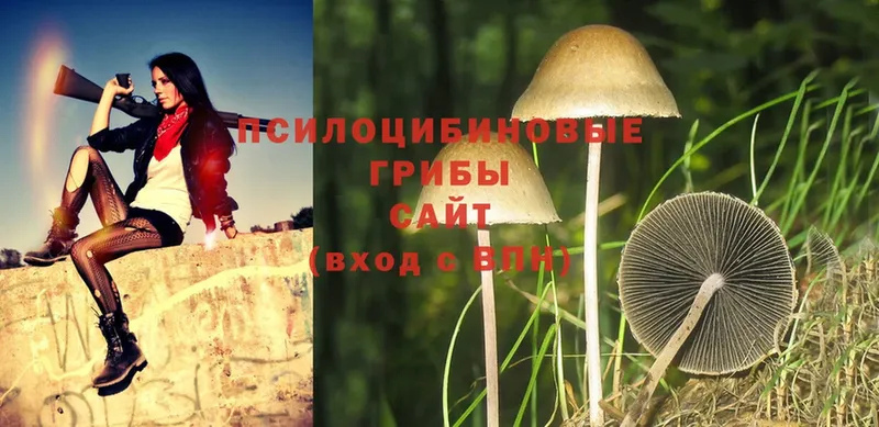 купить наркотик  МЕГА сайт  Псилоцибиновые грибы Magic Shrooms  Изобильный 